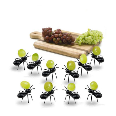 NOUVEAU Pics apéro colonies de fourmis !